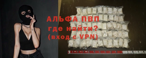 стаф Гатчина