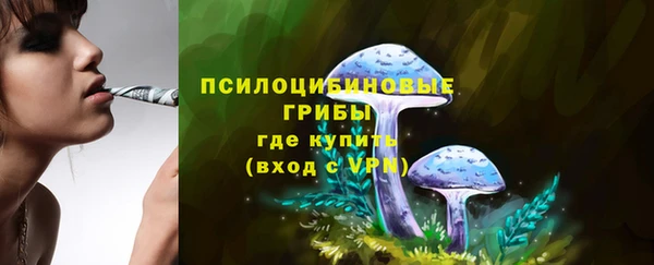 твердый Рославль