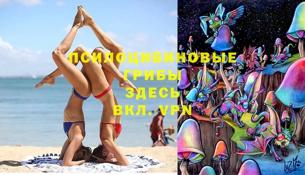 твердый Рославль